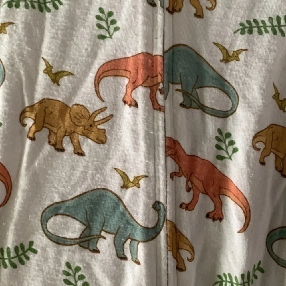 GUC Free Birdees snug fit footless dinosaur onesie
